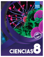 Porras 8.pdf